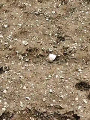 篠山神社(栃木県)