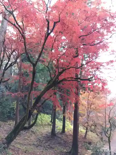 鶏足寺(滋賀県)