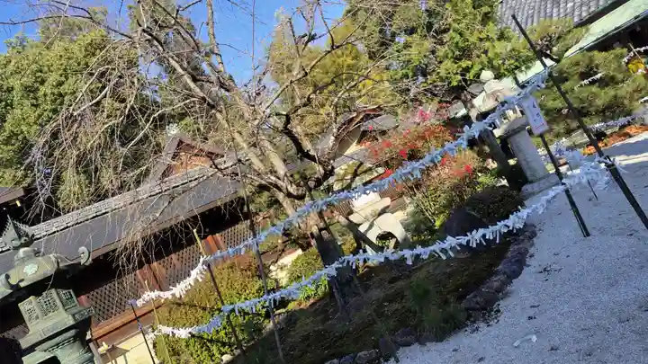 今宮神社(京都府)