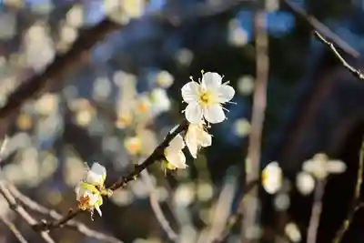 三津厳島神社(愛媛県)