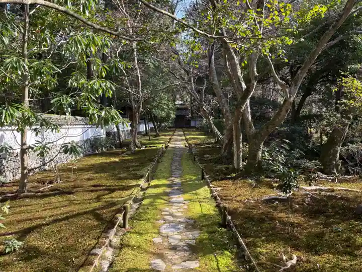 西芳寺の{uncategorized: "未分類", other: "その他", undefined: "問題あり", building: "その他建物", grave: "お墓", sacred_gate: "鳥居", guardian: "狛犬", statue: "像", buddha: "仏像", history: "歴史", nature: "自然", garden: "庭園", animal: "動物", pagoda: "塔", temizu: "手水舎", mountain_gate: "山門・神門", sanctuary: "本殿・本堂", subordinate: "末社・摂社", art: "芸術", scenery: "景色", jizo: "地蔵", ema: "絵馬", goshuin: "御朱印", omikuji: "おみくじ", items: "授与品その他", amulet: "お守り", goshuincho: "御朱印帳", eats: "食事", festival: "お祭り", votive_dance: "神楽", shichigosan: "七五三参", wedding: "結婚式", experience: "体験その他", initially: "初詣", around: "周辺", anti_infection: "感染症対策"}