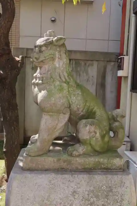 吉原神社の狛犬