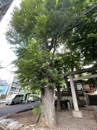 用賀神社の自然