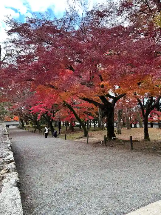 南禅寺(京都府)