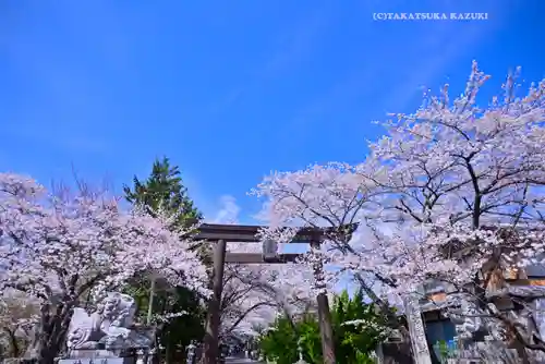 冨士御室浅間神社(山梨県)
