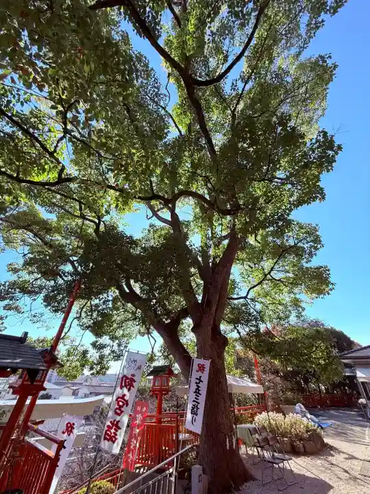 神戸水天宮(兵庫県)
