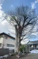 三ツ石神社(岩手県)