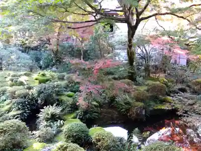 三千院門跡(京都府)