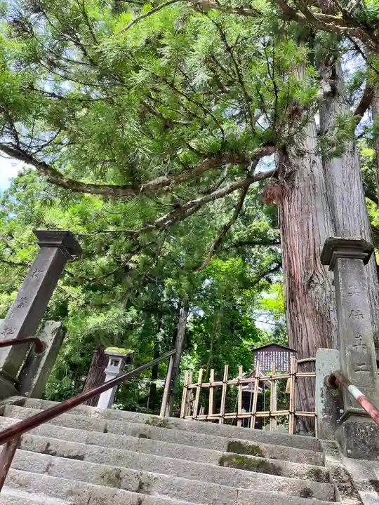 戸隠神社中社(長野県)