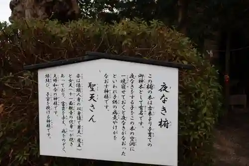 石見国一宮　物部神社(島根県)