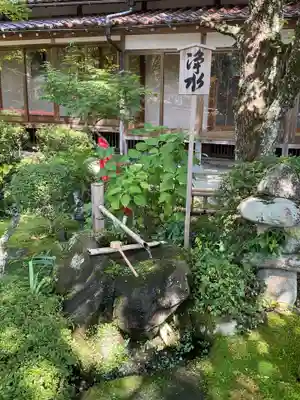 寳心寺の手水舎