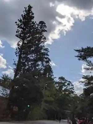 伊勢神宮内宮（皇大神宮）(三重県)