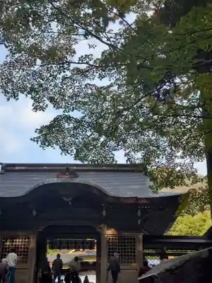 彌彦神社(新潟県)