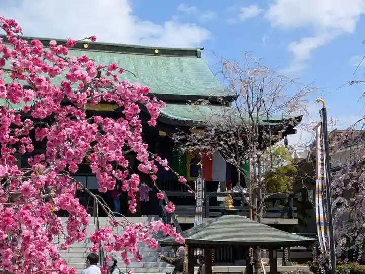 宝勝山 南藏院 蓮光寺(東京都)