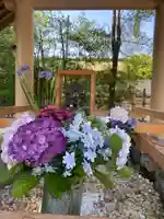 和泉國一之宮 大鳥大社の手水舎