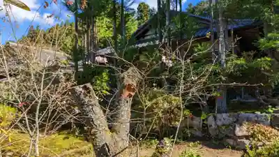 実光院(京都府)
