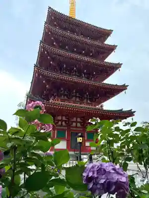 高幡不動尊　金剛寺(東京都)