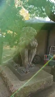 鳩森八幡神社の狛犬