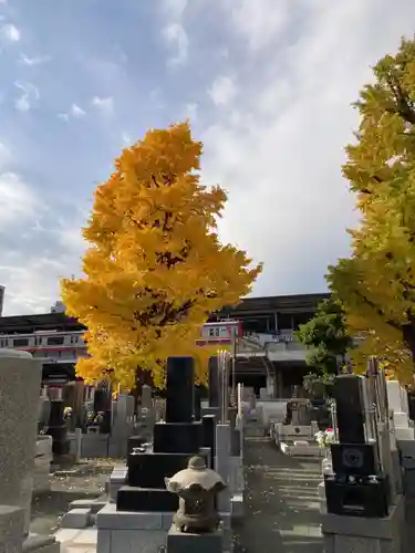 宗三寺(神奈川県)