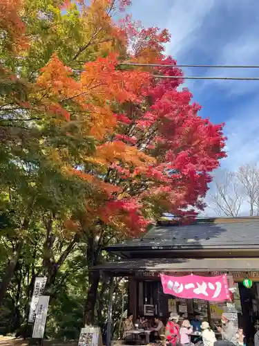 大山阿夫利神社の食事