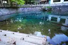 厳島神社の庭園