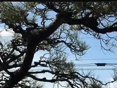 西方山極楽寺(岐阜県)