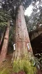 都祁水分神社(奈良県)