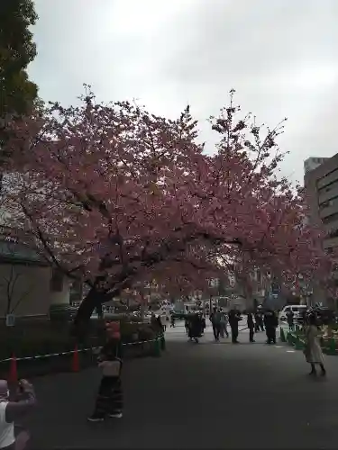 五條天神社の自然