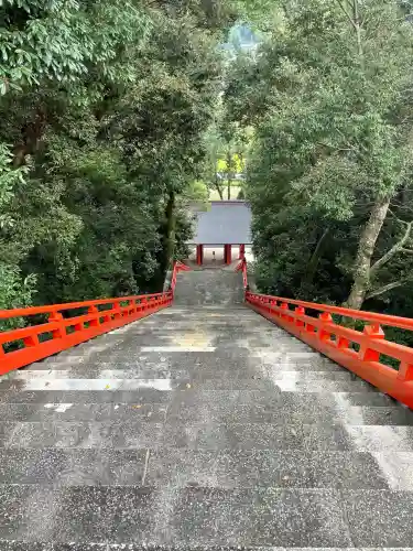 宇佐神宮(大分県)