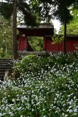妙義神社(群馬県)