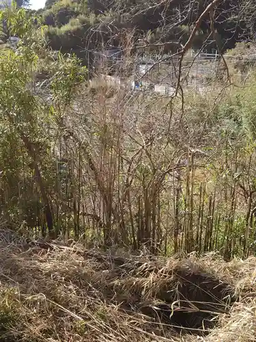 伊豆山神社の自然