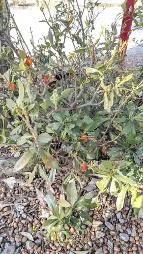 稲荷神社・子宝稲荷(愛知県)