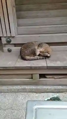 小野照崎神社(東京都)