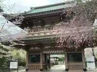 東勝寺宗吾霊堂の{uncategorized: "未分類", other: "その他", undefined: "問題あり", building: "その他建物", grave: "お墓", sacred_gate: "鳥居", guardian: "狛犬", statue: "像", buddha: "仏像", history: "歴史", nature: "自然", garden: "庭園", animal: "動物", pagoda: "塔", temizu: "手水舎", mountain_gate: "山門・神門", sanctuary: "本殿・本堂", subordinate: "末社・摂社", art: "芸術", scenery: "景色", jizo: "地蔵", ema: "絵馬", goshuin: "御朱印", omikuji: "おみくじ", items: "授与品その他", amulet: "お守り", goshuincho: "御朱印帳", eats: "食事", festival: "お祭り", votive_dance: "神楽", shichigosan: "七五三参", wedding: "結婚式", experience: "体験その他", initially: "初詣", around: "周辺", anti_infection: "感染症対策"}
