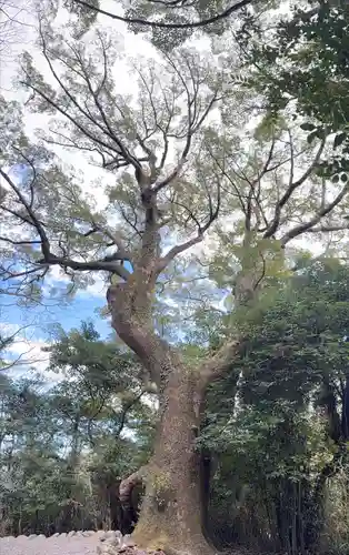 月讀宮（皇大神宮別宮）(三重県)