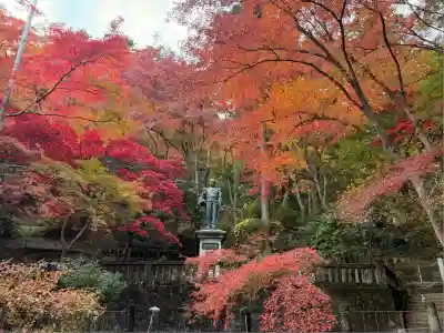 秩父御嶽神社(埼玉県)