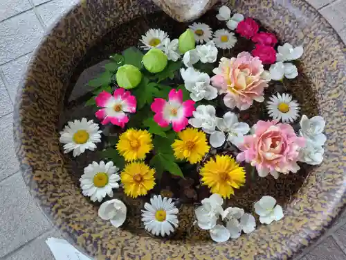 美瑛神社の手水舎