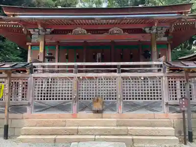 石清水八幡宮(京都府)