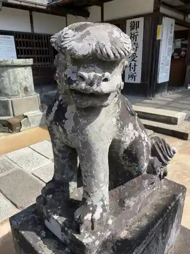 半僧坊大権現の狛犬