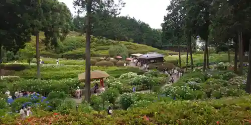 三室戸寺の景色