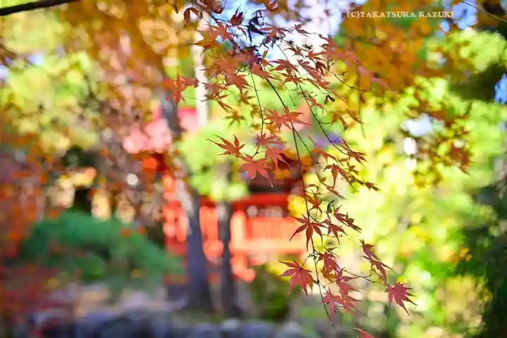 高幡不動尊 金剛寺(東京都)