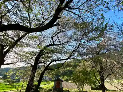 天神宮(伝河原氏屋敷跡)の自然