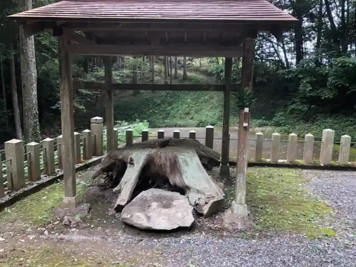 二村神社の自然