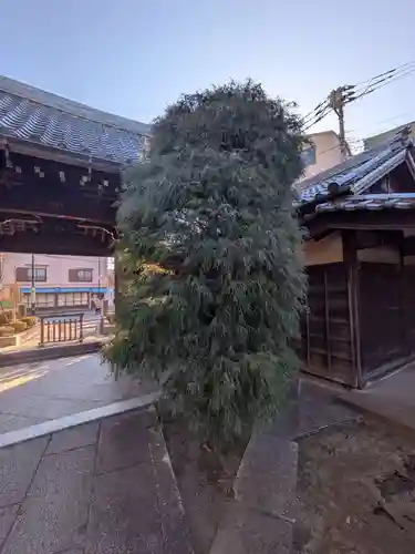 経王寺(東京都)