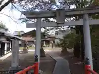 千代鶴神社(福井県)