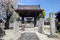 円福寺の山門・神門