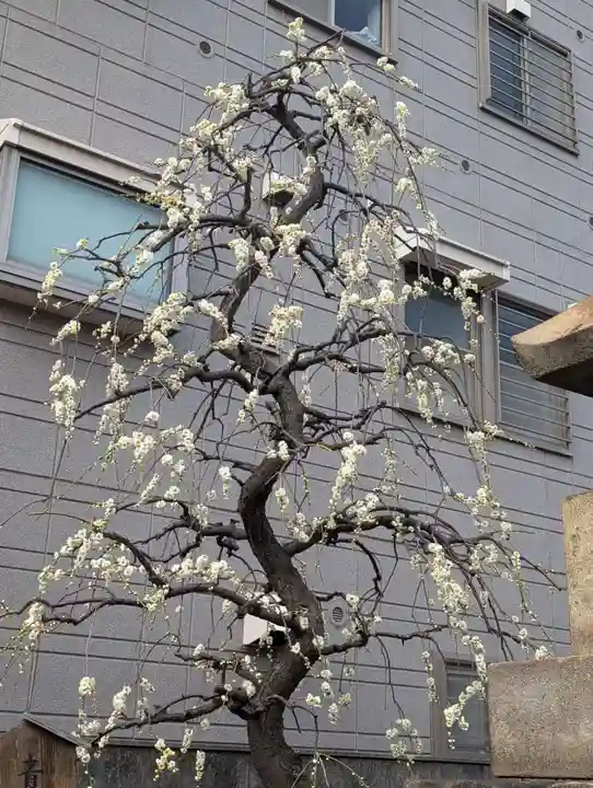慶運寺(神奈川県)
