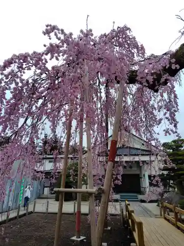 妙関寺(福島県)