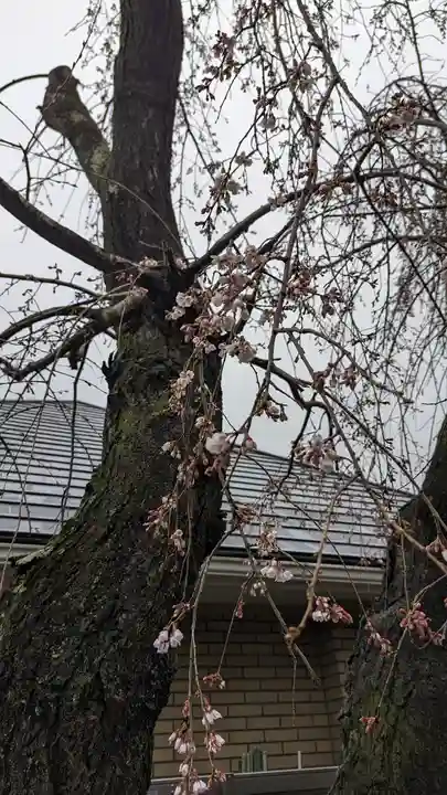 琳聖寺(京都府)