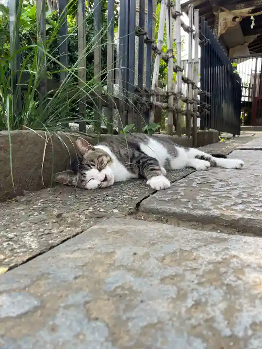 白山神社(東京都)